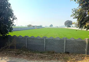 5FQR+9V5, Bagpur Khurd, Haryana, India preview 3