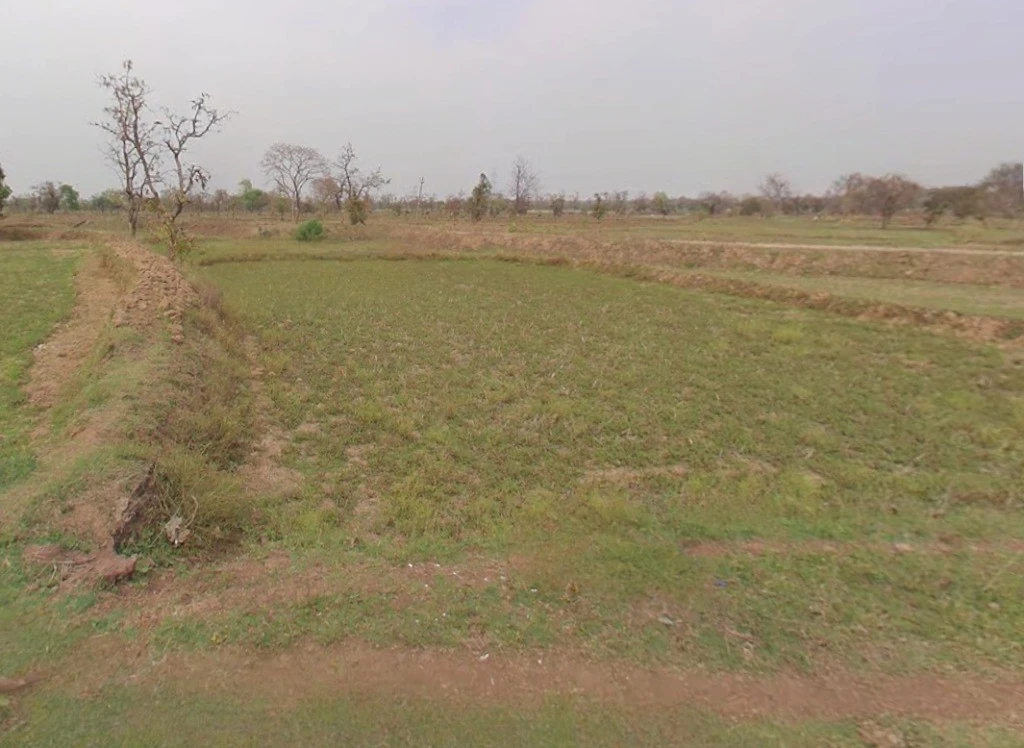 Doma-1, Chhattisgarh 493661, India