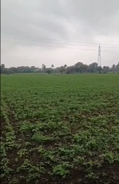 GG5X+7WG, Dhar, Naibaroda M, Madhya Pradesh, India preview 2