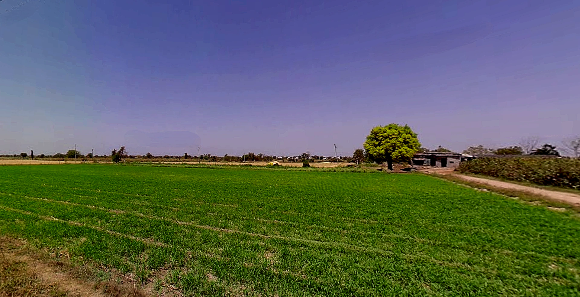 Dashela, Gujarat 382321, India