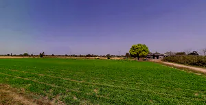 Dashela, Gujarat 382321, India preview 3