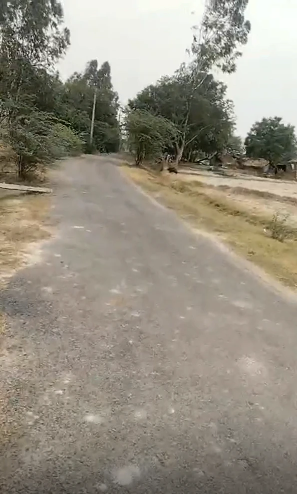FQ4C+PC5, Purwa, Uttar Pradesh 209825, India