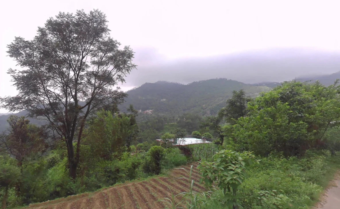 Dadahu, Himachal Pradesh 173022, India