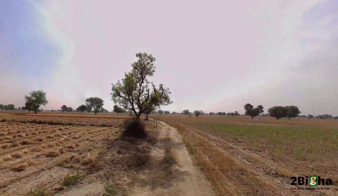 Chhatarpur, Madhya Pradesh 471001, India