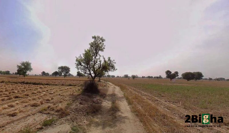 Chhatarpur, Madhya Pradesh 471001, India preview 3