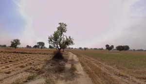 Chhatarpur, Madhya Pradesh 471001, India preview 3