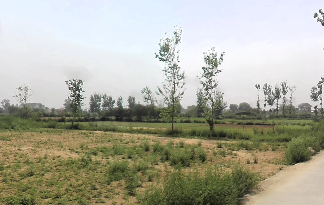Faridabad, Haryana, India