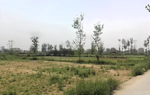 Faridabad, Haryana, India preview 2
