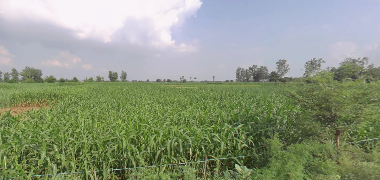 Mohanlalganj, Uttar Pradesh 226301, India