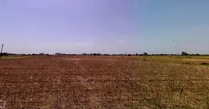 Khandosan, Gujarat 384310, India preview 2