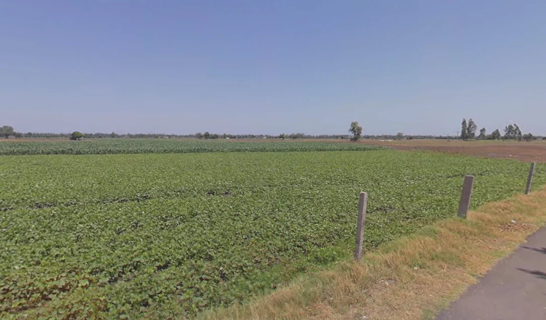 Rampura Phul, Punjab, India preview 2