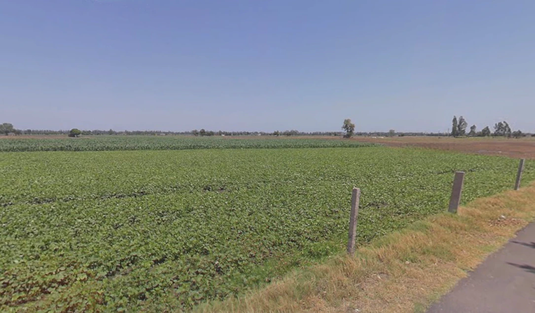 Rampura Phul, Punjab, India