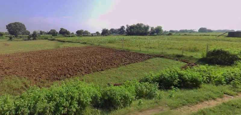 Barnagar, Madhya Pradesh 456771, India preview 2