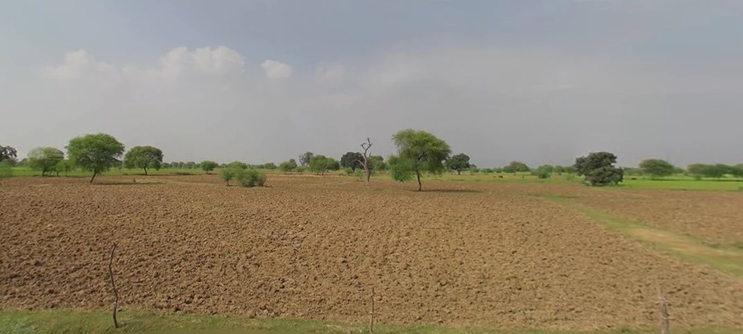 Barnagar, Madhya Pradesh 456771, India