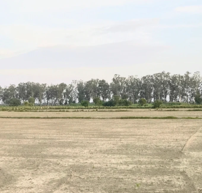 3VRP+P8X, Mainpuri, Nawa Teda, Uttar Pradesh 205261, India