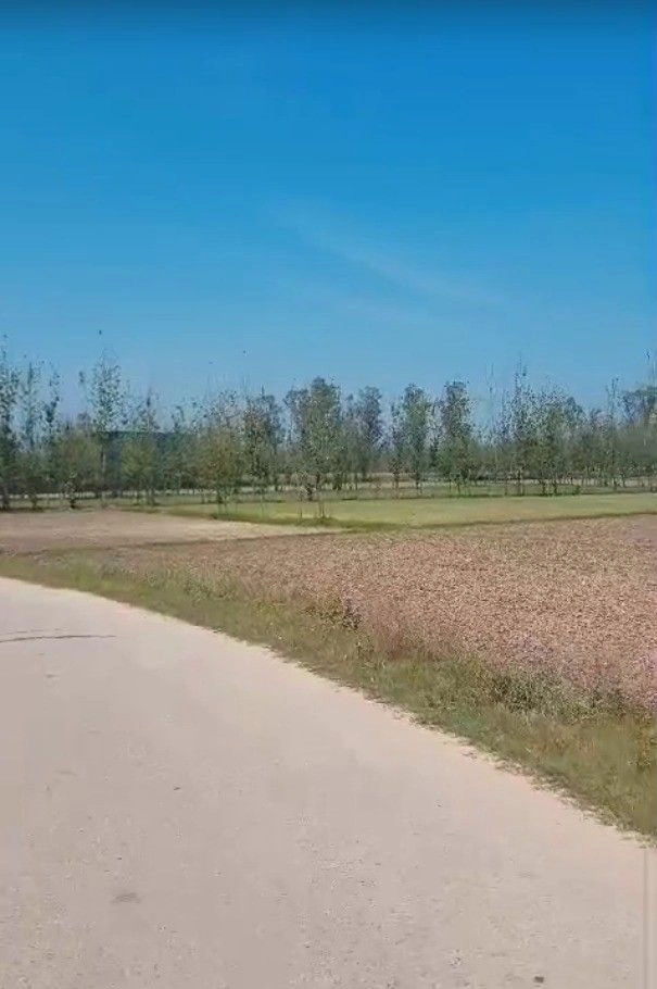 Pilkhana, Uttar Pradesh, India