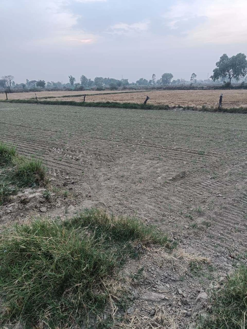 Saidpur, Nuh, Haryana 122105, India