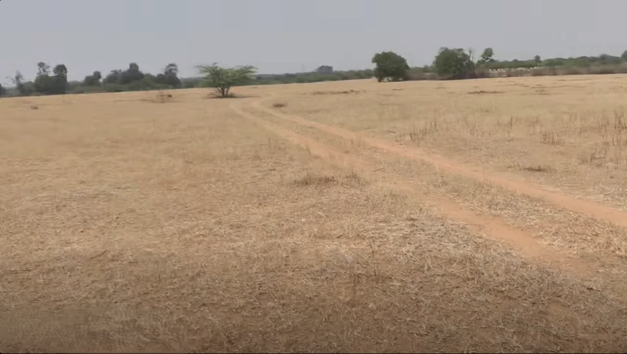 2G63+6R Nagalur, Andhra Pradesh, India