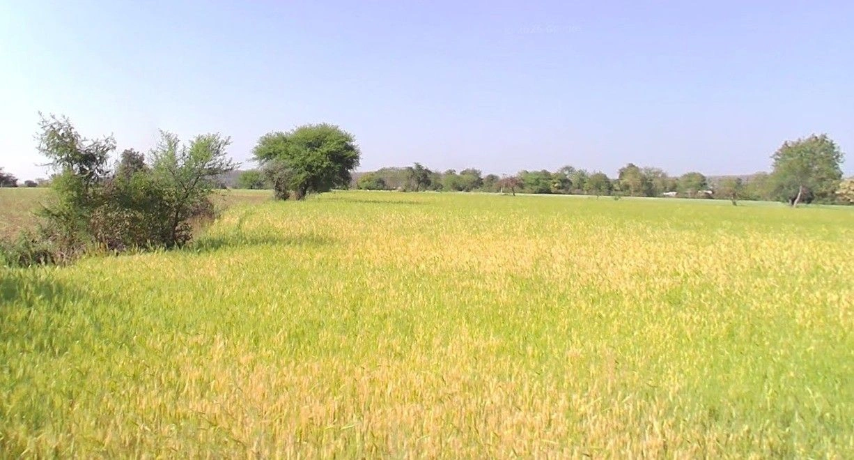 Parsoli, Madhya Pradesh 456550, India