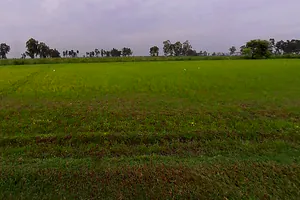 Siali, Uttar Pradesh 251320, India preview 3