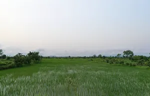 Amane, Chhattisgarh, India preview 2