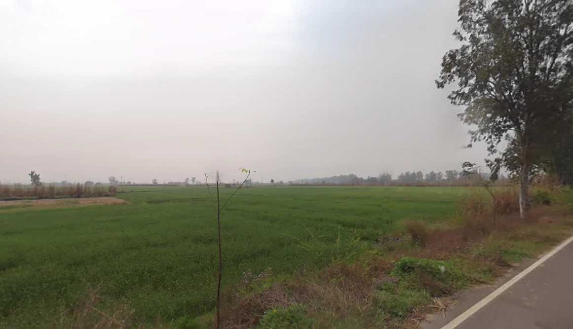 Salimsar Majra, Haryana 131022, India