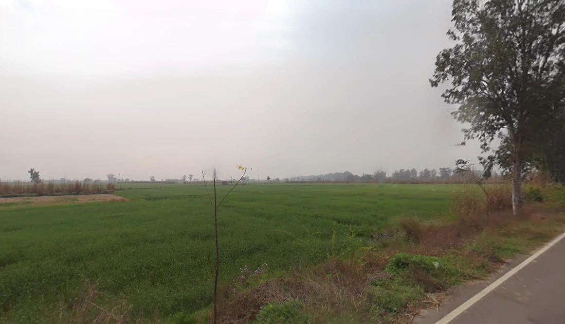 Salimsar Majra, Haryana 131022, India
