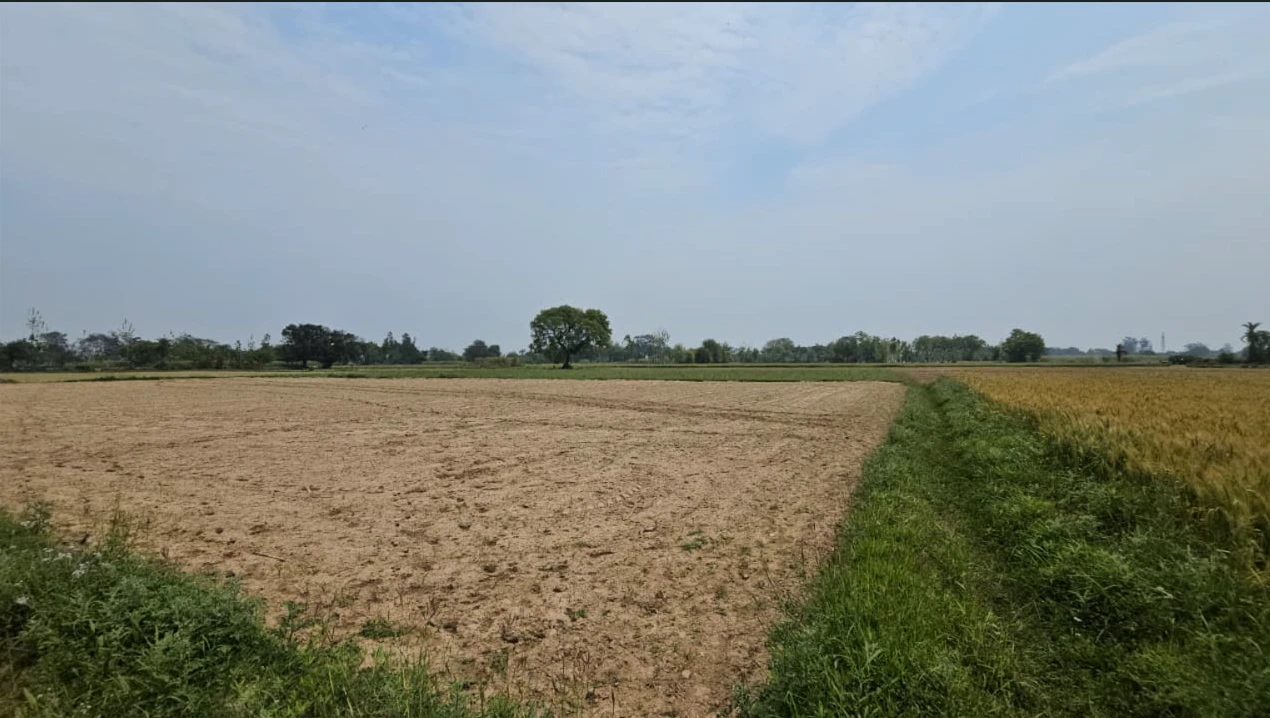 Nissing, Haryana 132024, India