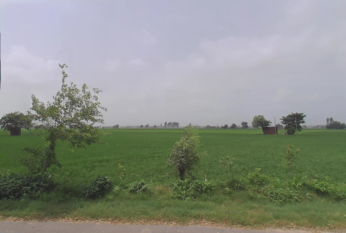 Nigdhu, Haryana 132157, India