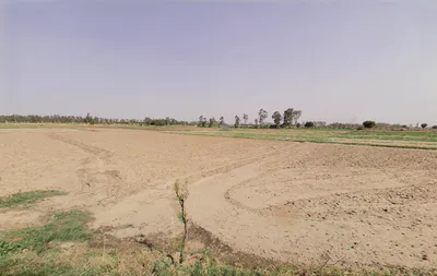 2W6Q+X4F, Ratangarh, Bagru, Haryana 131001, India preview 2