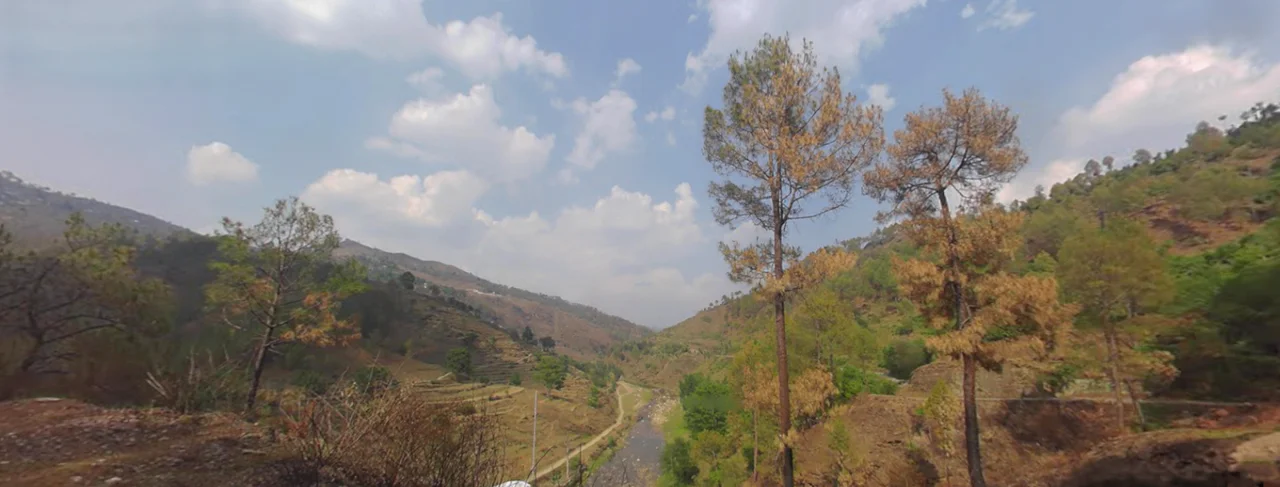 Tani, Uttarakhand 263643, India preview 2