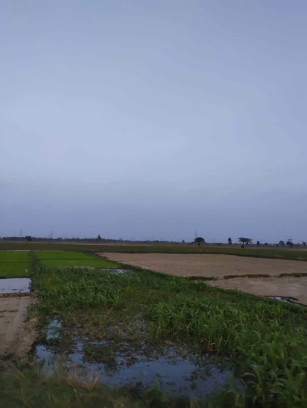 Bishambhara, Uttar Pradesh 281404, India