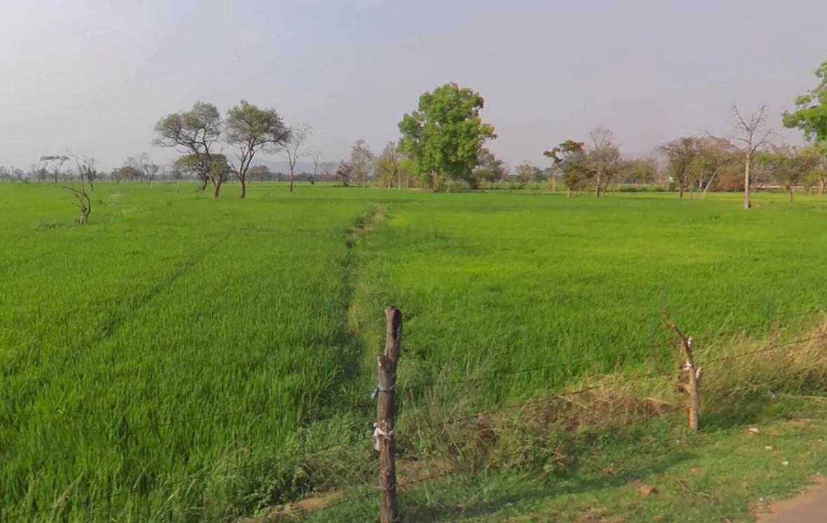 Tarpongi, Chhattisgarh 493116, India preview 3