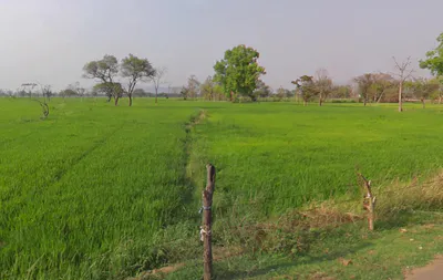 Tarpongi, Chhattisgarh 493116, India preview 3