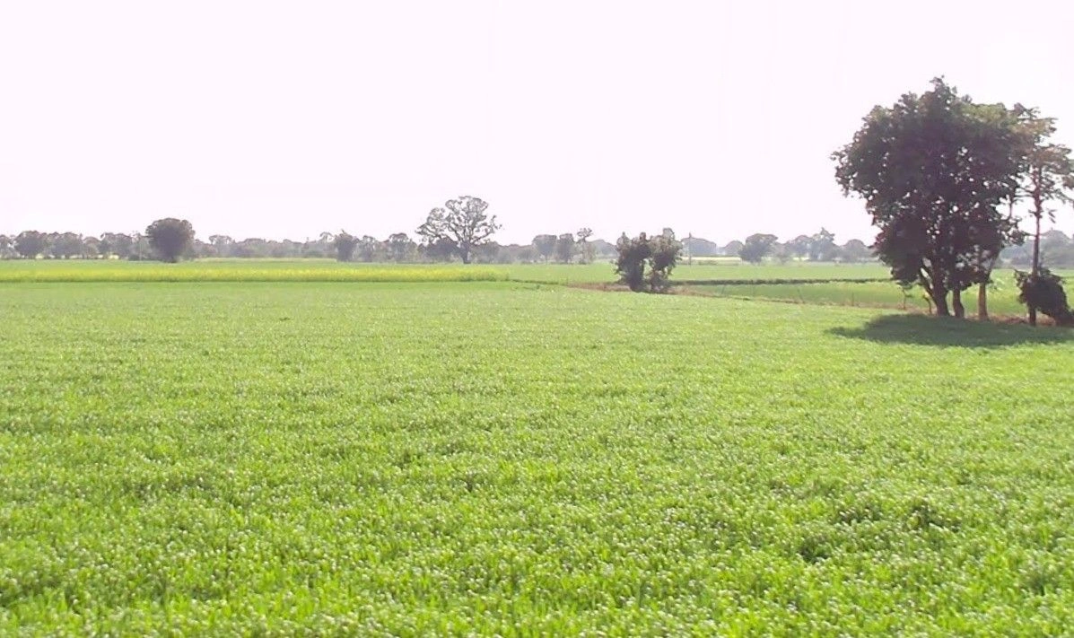 Hinotiya, Madhya Pradesh 464226, India preview 3