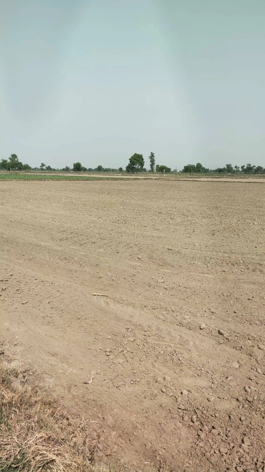 Ajijpur, Uttar Pradesh, India