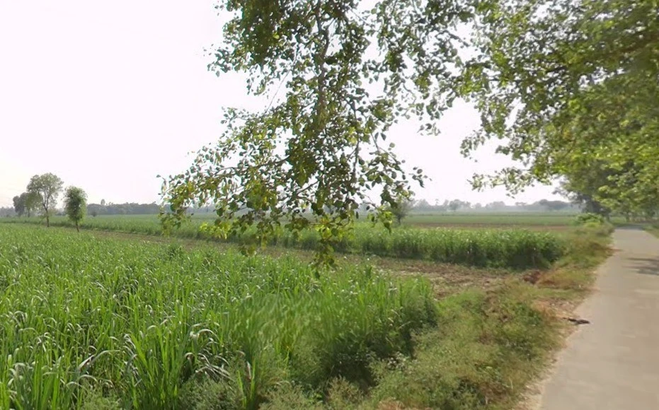 Govindpur, Uttar Pradesh 250104, India