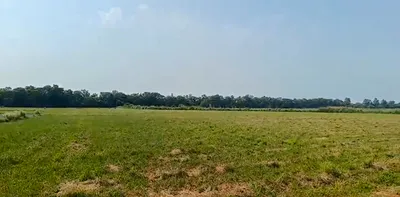 65XV+J86, Ahmedabad, Dholera, Gujarat 382455, India preview 2
