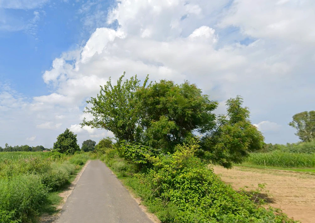 Asmoli, Uttar Pradesh 244304, India