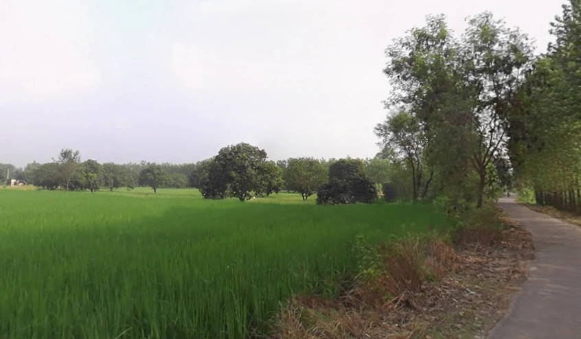 4RX4+R42, Satpura, Uttar Pradesh 247129, India