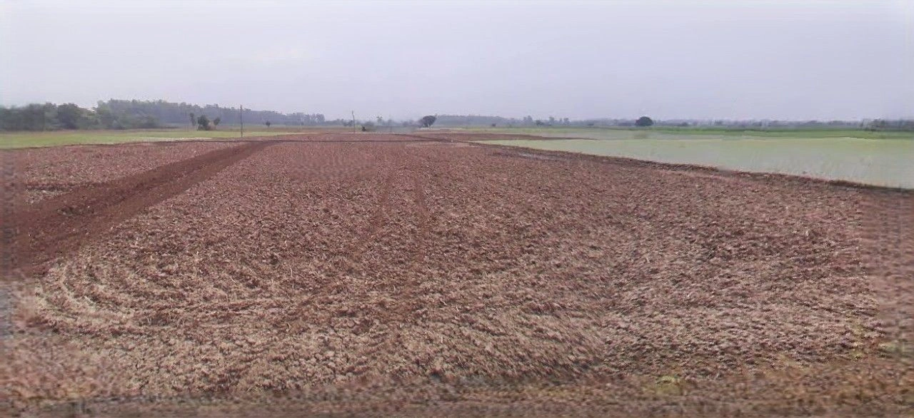 Kurukshetra, Haryana, India