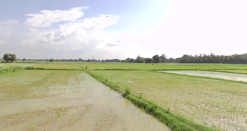 Khemasa, Madhya Pradesh, India preview 3