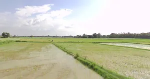 Khemasa, Madhya Pradesh, India preview 3