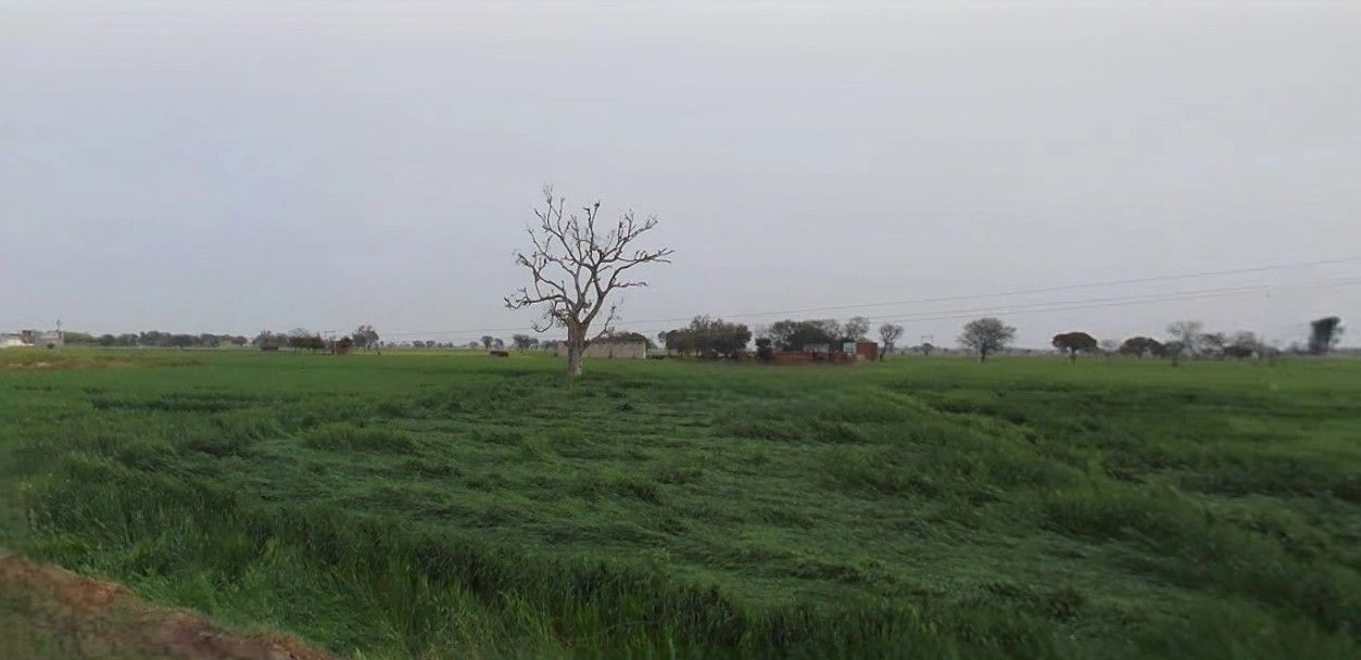 Farukh Nagar, Haryana 122506, India