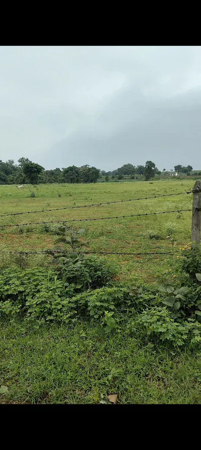 Tamia, Chhindwara, Madhya Pradesh 480559, India preview 2