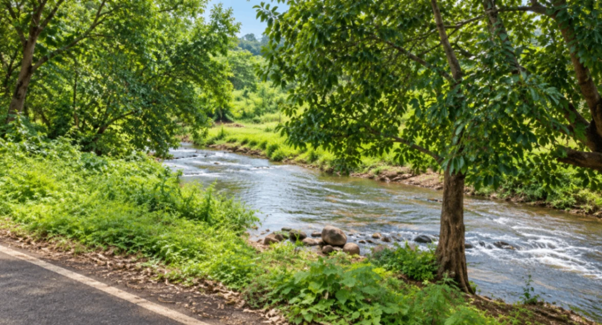 Dasamantpur, Koraput, Odisha 764043, India