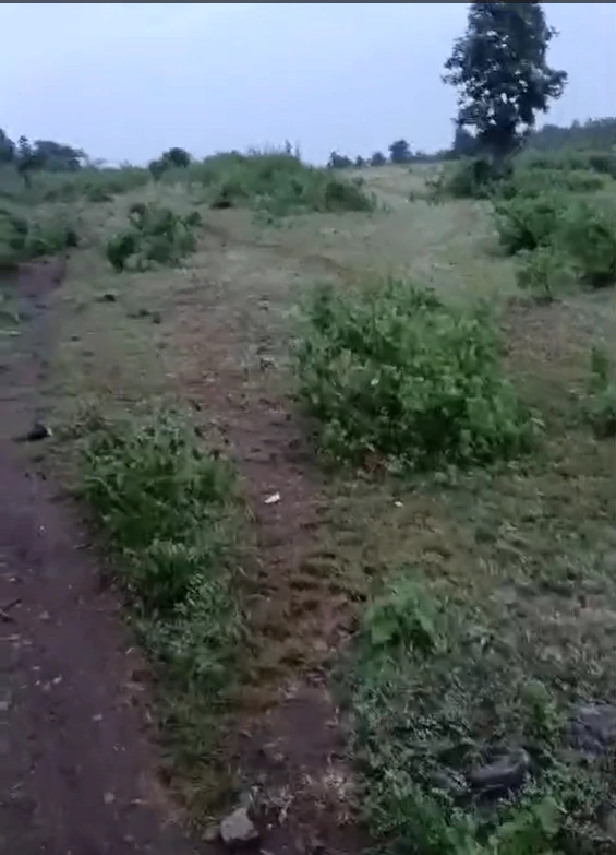 Bhadas, Nuh, Haryana 122108, India