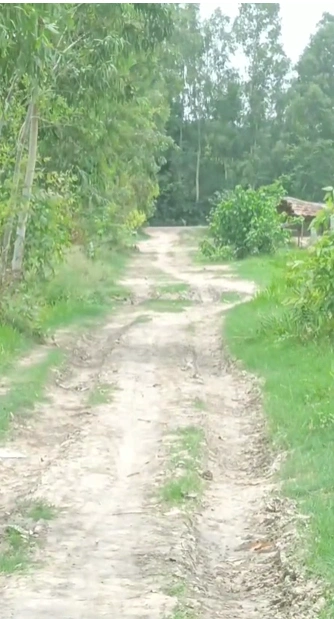 Dhikoli, Baghpat, Baghpat, Uttar Pradesh, India