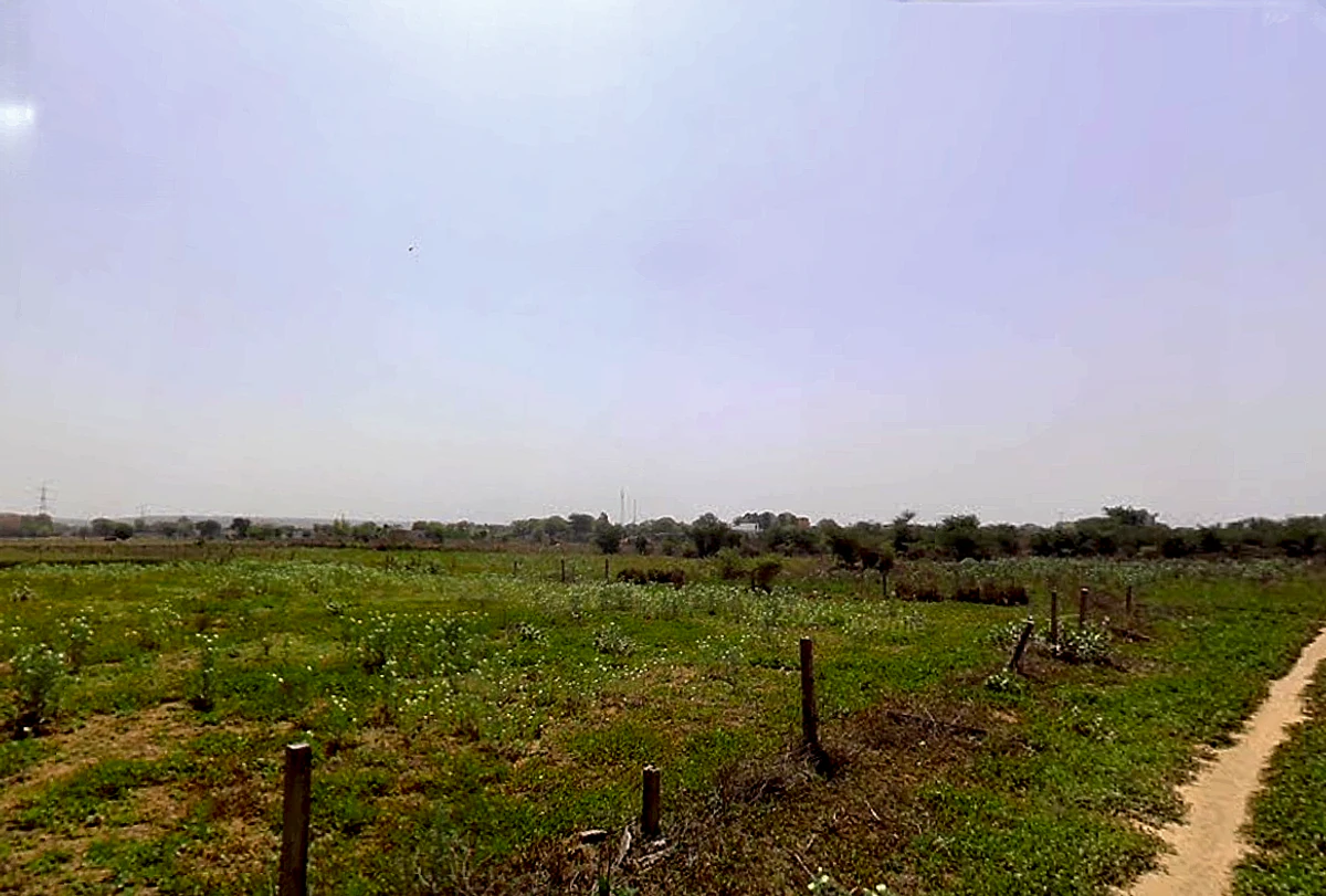 Sector 68, Gurugram, Haryana 122101, India