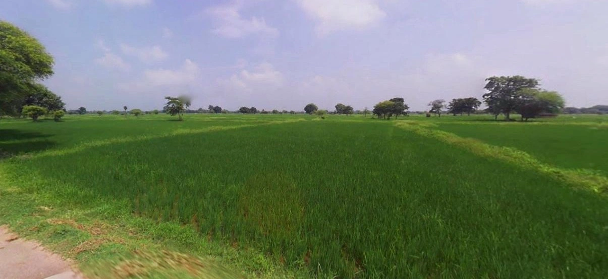 Tarana, Madhya Pradesh 456665, India